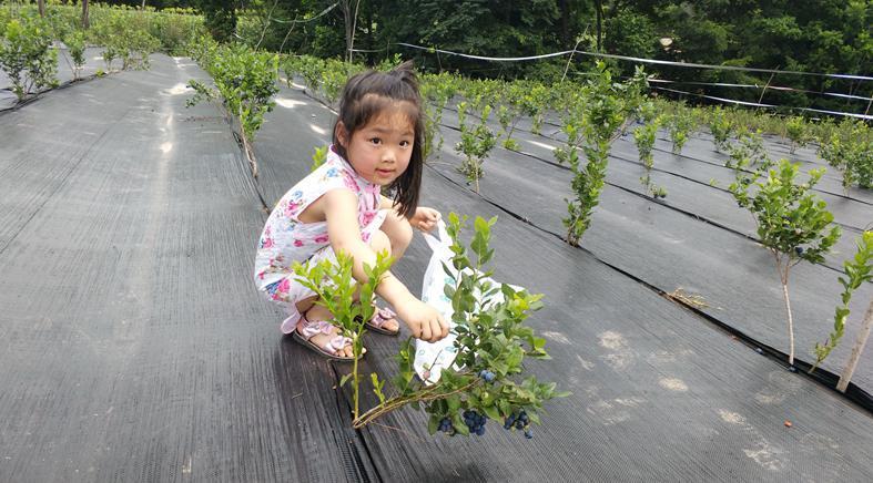 隋广义你别跑了,这里来了不想走! 隋广义你别跑了,这里来了不想走!