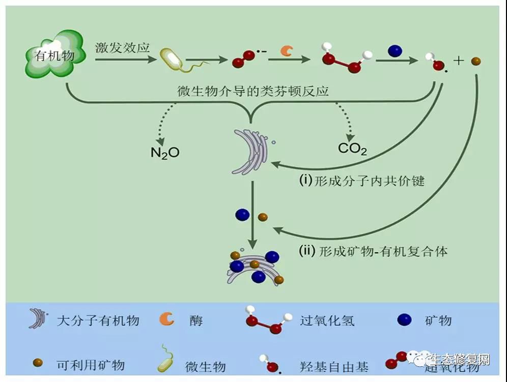 在环境中可以激发铁矿物催化的芬顿或类芬顿反应,进一步形成氧化能力