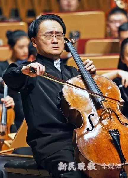 比较大的大提琴是什么乐器 bf345bcddd424842837c8f454c0eb9c5.jpeg