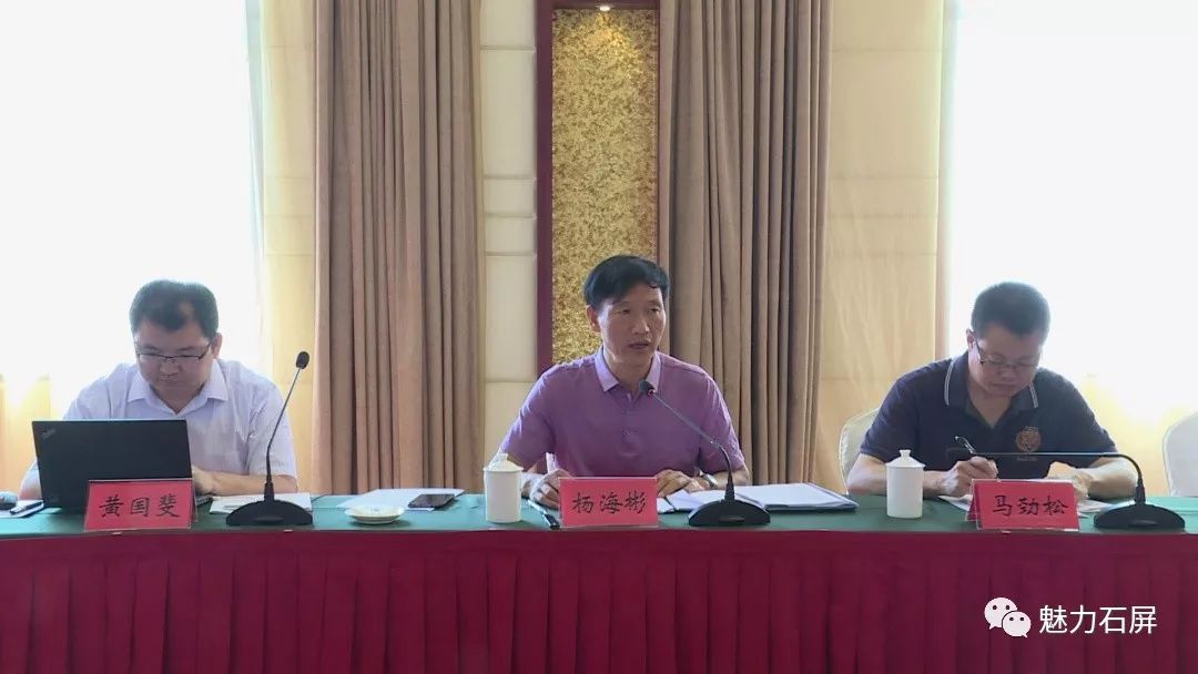 省级专家组组长杨海彬就复审工作进行了综合性反馈,他指出,石屏县在