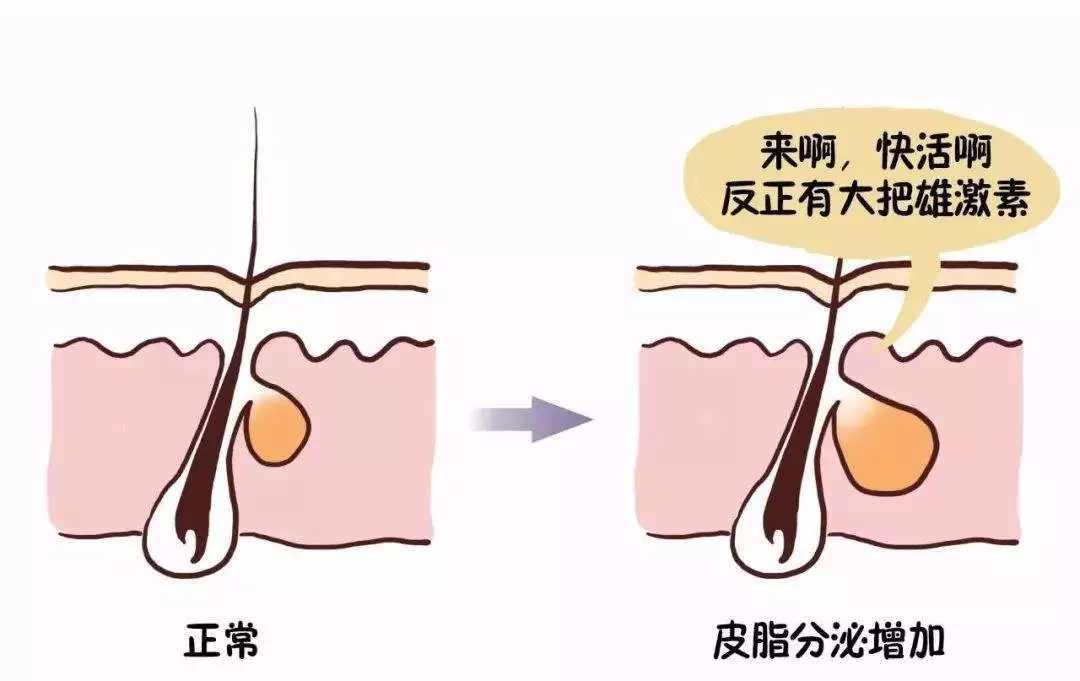 人口过多的原因_人口过多图片(2)