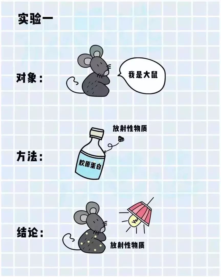 c904379f931b42ef8e7bd6b0c37c3fc5.jpeg