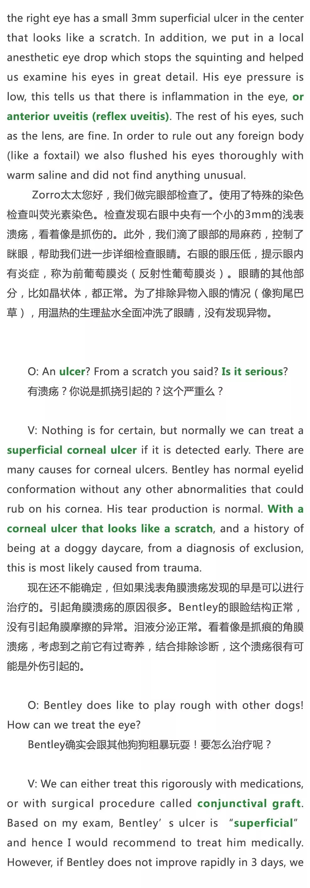 兽医学习·分享丨Vetstar兽医英语--眼科学:兽医