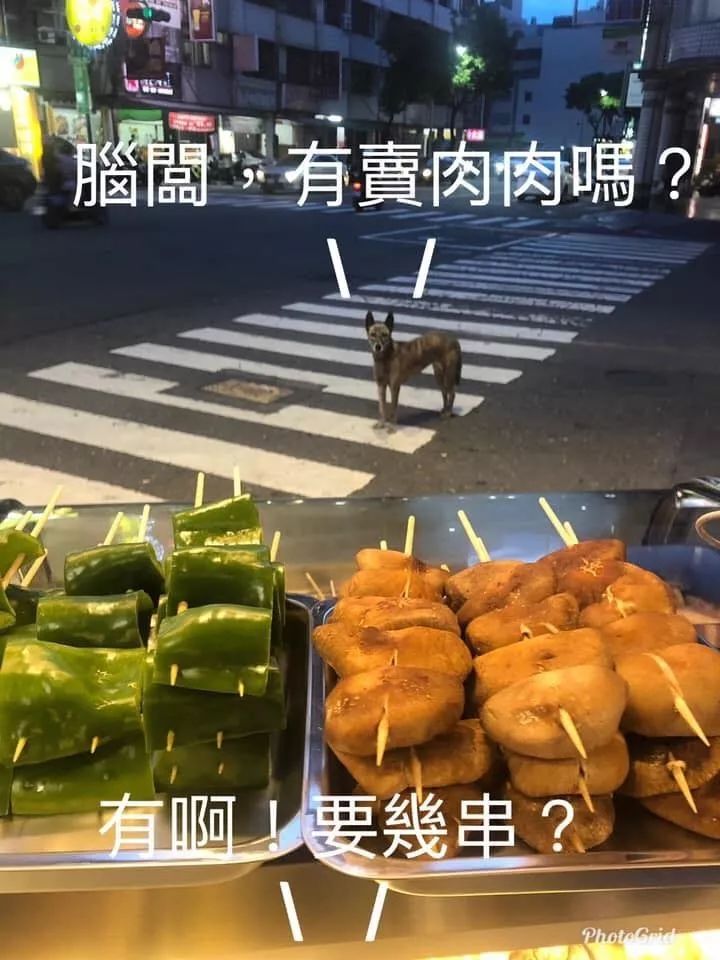 常去的燒烤店沒開門，隔天狗子找了過來：請給我解釋！ 寵物 第6張