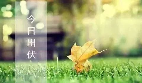 cd1c9dbd49f04cebbe66be26ca41c99a.jpeg