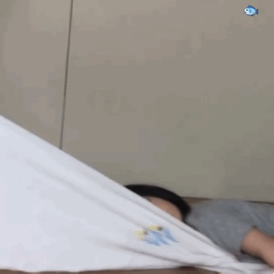 熊猫头表情包 | 当舔狗你最积极