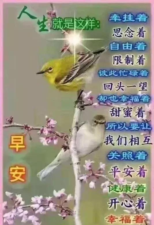 太阳总是新的,每天都是美好的日子,早上好