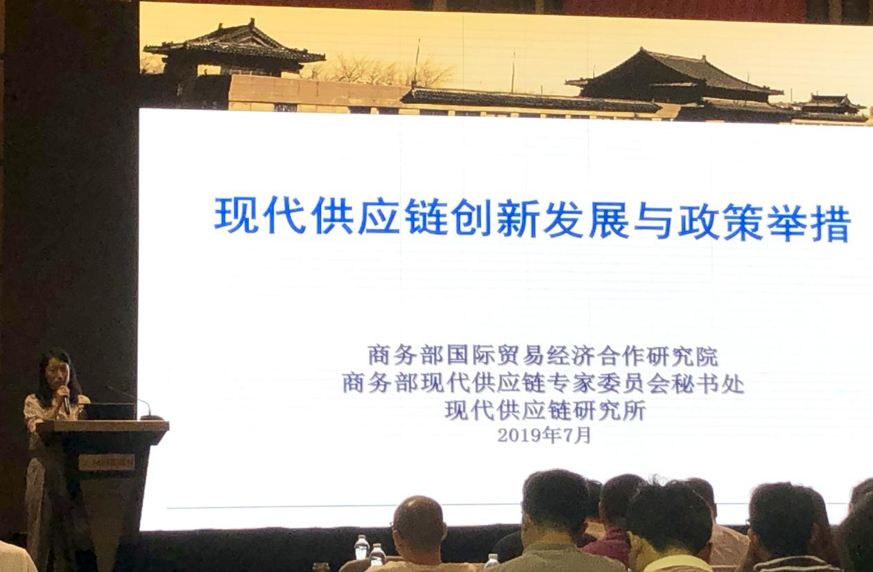 商务部国际贸易经济合作研究院现代供应链研究所林梦所长,北京物