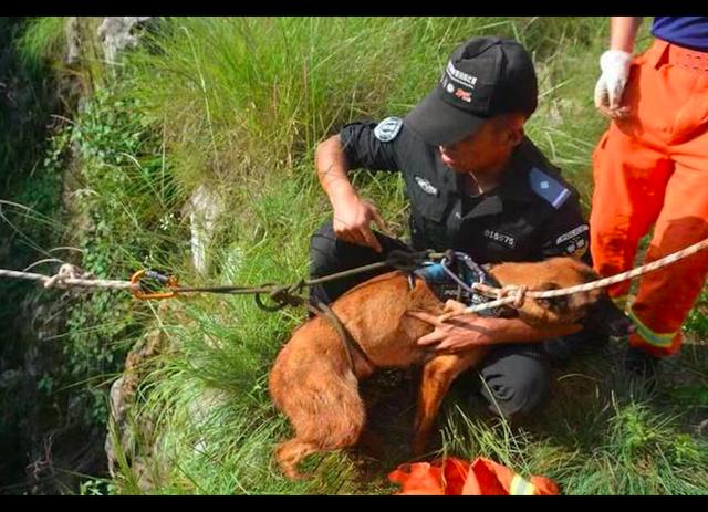 警犬訓練時掉進10米深坑，警察只好打119：喂我是110，需要救援！ 寵物 第4張