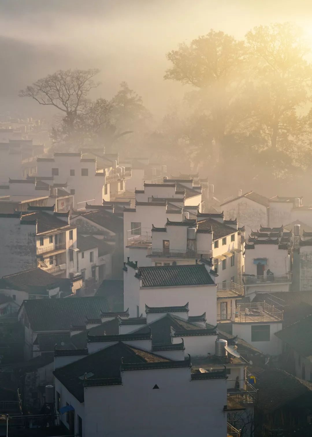 熱熱熱！中國到底哪裡的城市最熱？ 旅遊 第3張