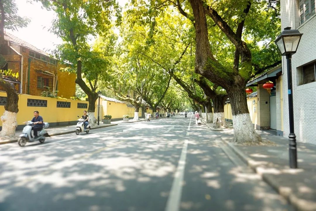 南京-颐和路-上海路-广州路沿线