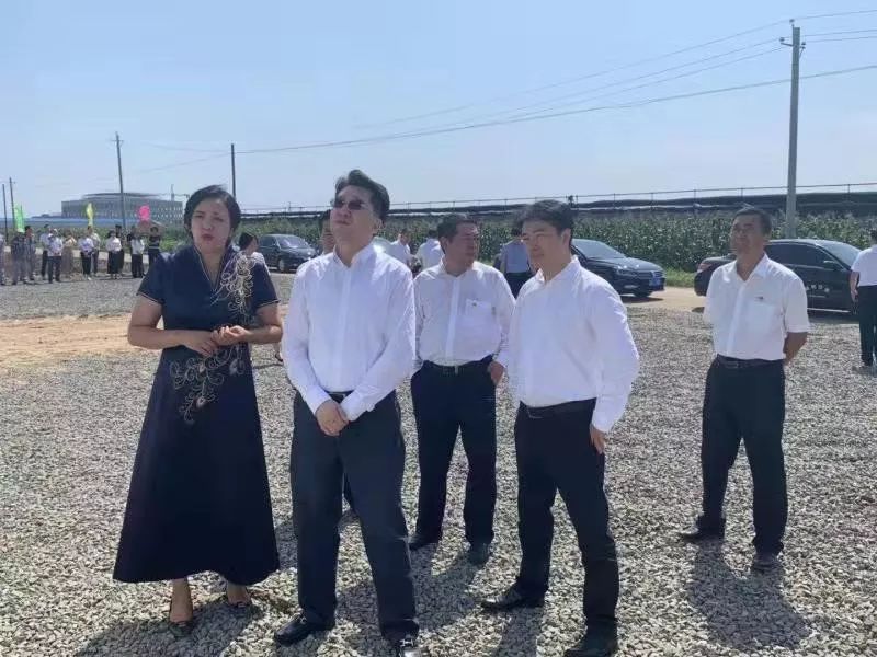 沈阳市政府副市长王广生,沈阳市发改委副巡视员关嘉玉,新民市市委书记