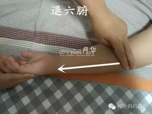                     出伏了，虽然暑热难耐，但也是时候开始养阴润燥了！