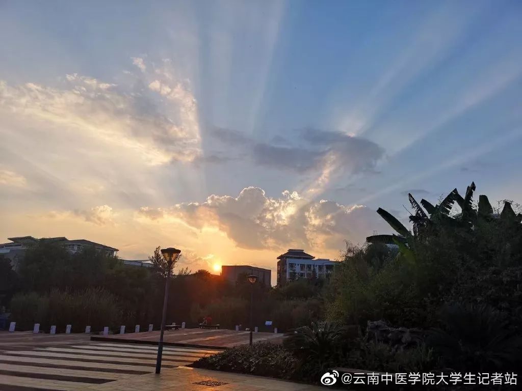 图片来源:云南中医药大学官网 云中医有呈贡,白塔两个校区 占地面积