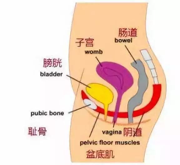 超要紧产后这件难以启齿的尴尬事大部分宝妈都经历过