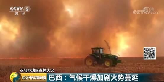 白昼变黑夜!亚马孙森林大火连烧16天,“地球之肺”亟需拯救!