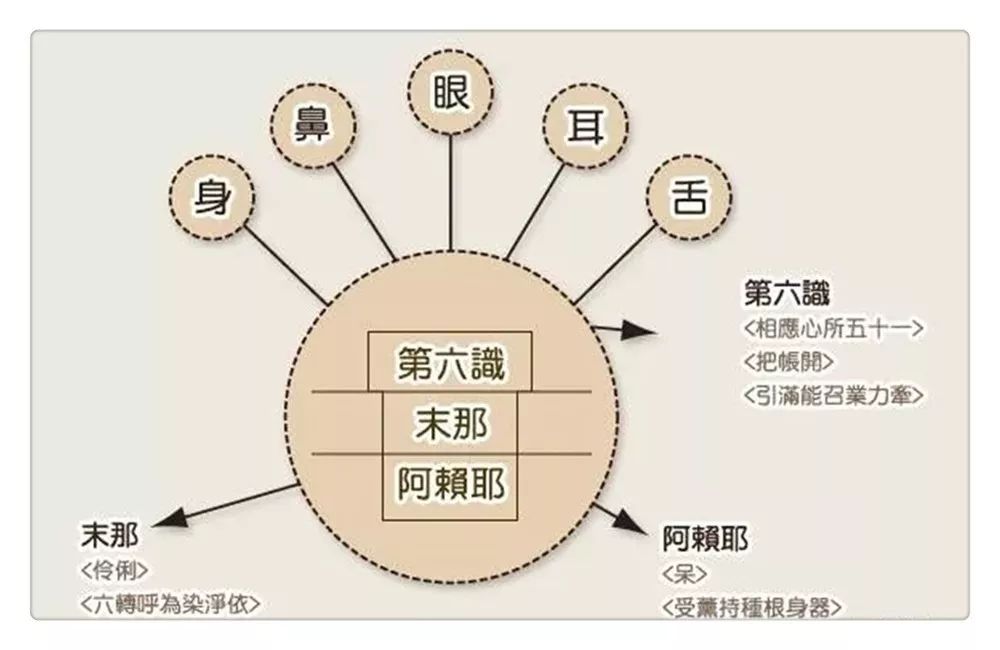 所谓「八个兄弟」是指人的八种意识,也就是前六识和末那识及阿赖耶识.