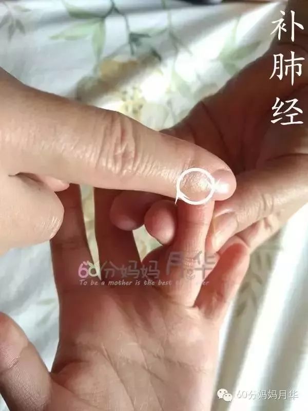                     出伏了，虽然暑热难耐，但也是时候开始养阴润燥了！