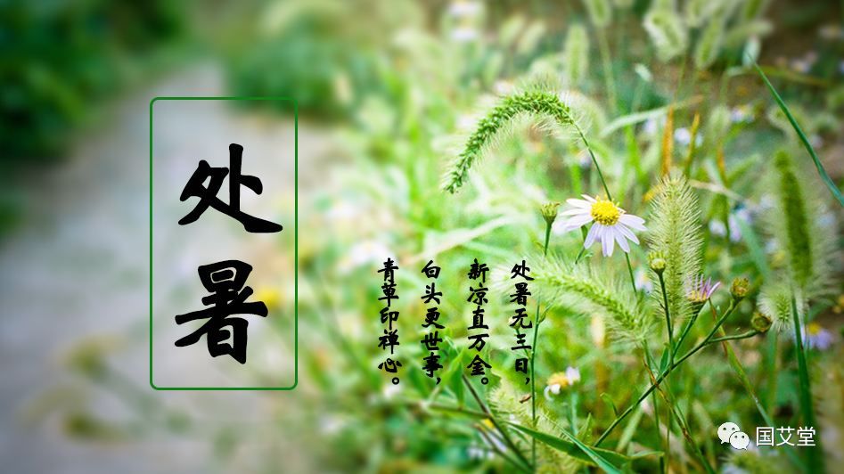 明日处暑,节气灸养生重点:顺天时温阳益气,滋阴润燥!