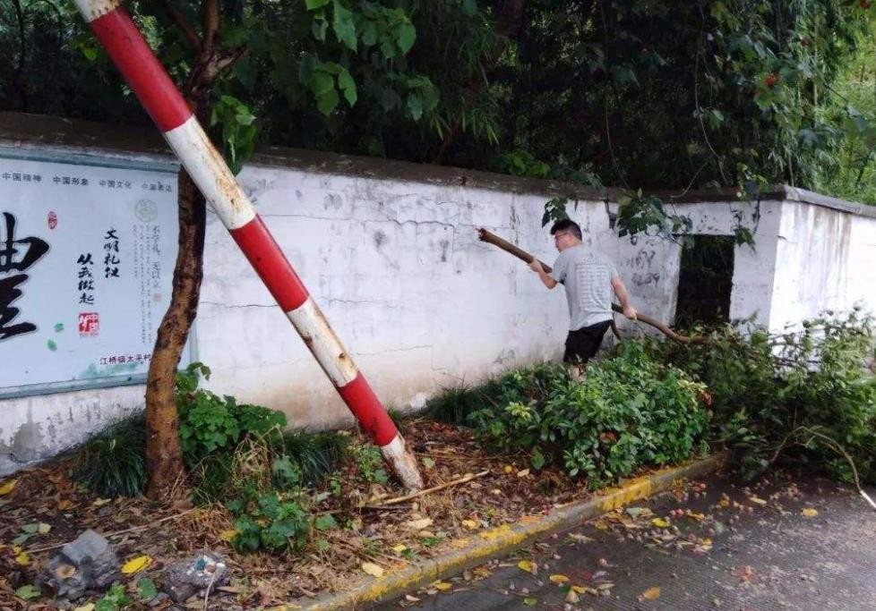                     原创            大风吹起路边电箱玻璃，男孩险遭割颈：谁该为受伤的孩子负责？