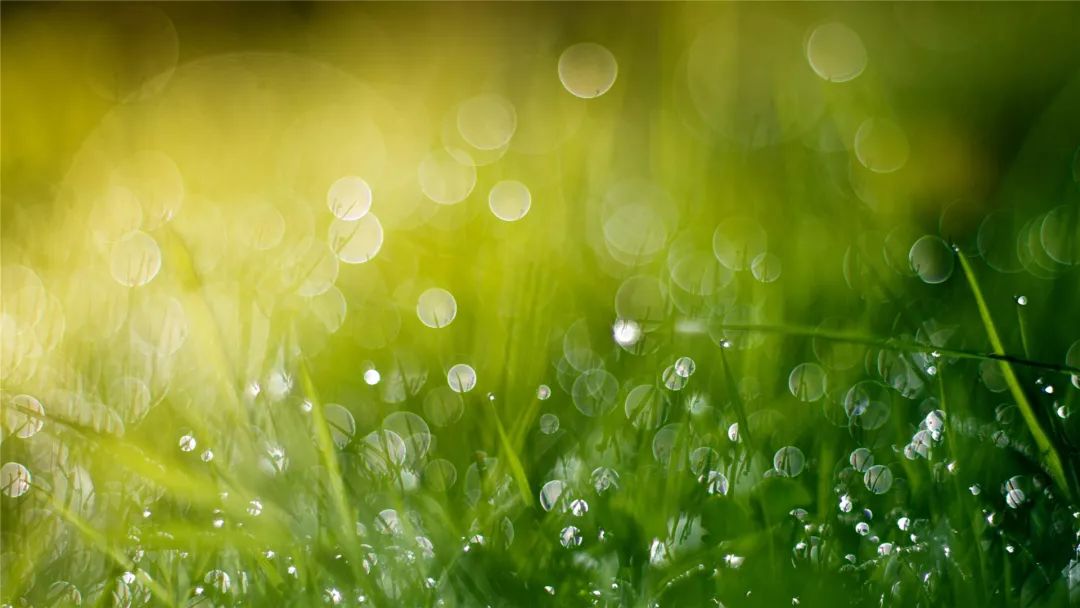 【深度好文】最经典微小说:《开心药》(影响无