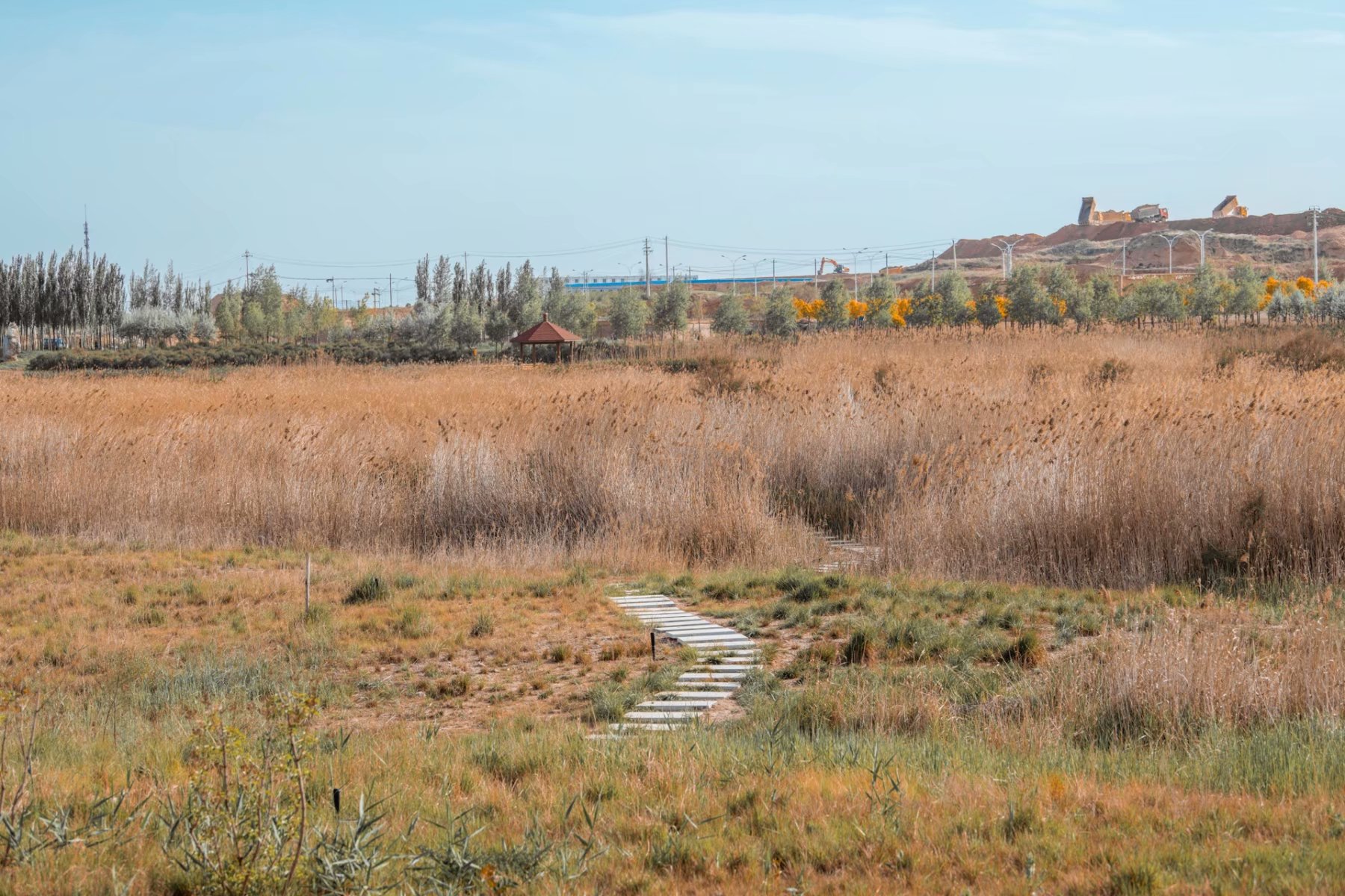 耗時8年的建設與開發，蘭州這個濕地公園怎麼樣了？ 旅遊 第2張