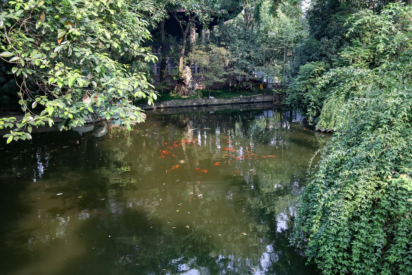 用最懶散的三天時光，感受美食之外的成都：水井坊博物館、錦裡古街、寬窄巷子 旅遊 第44張