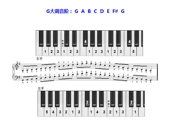 干货▏钢琴十二个大调左右手指法图