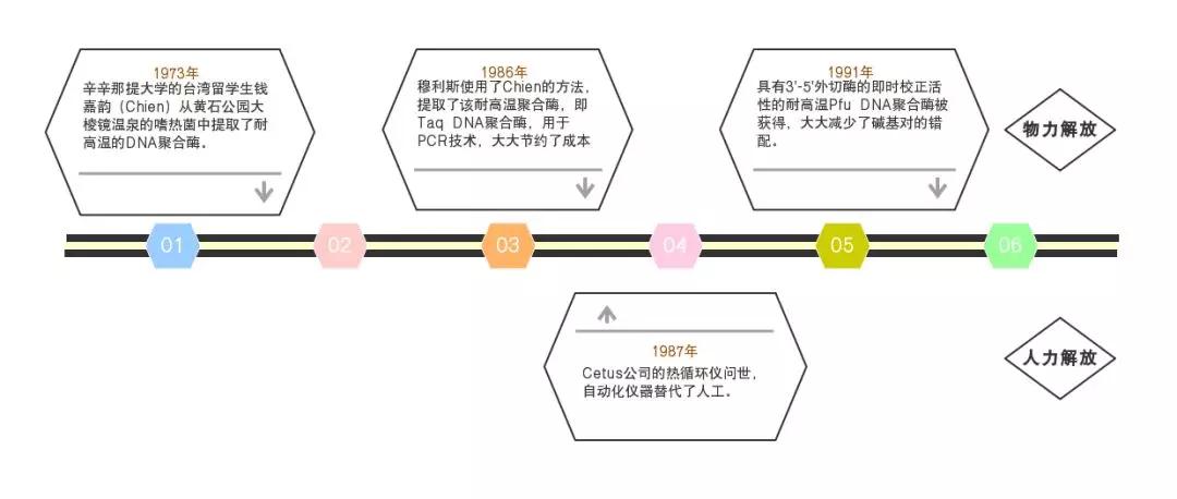 科普PCR的前世今生 穆利斯