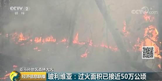 白昼变黑夜!亚马孙森林大火连烧16天,“地球之肺”亟需拯救!