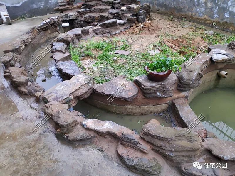 晒家丨70万建座农家小院,洋房,花池,假山,这才叫生活