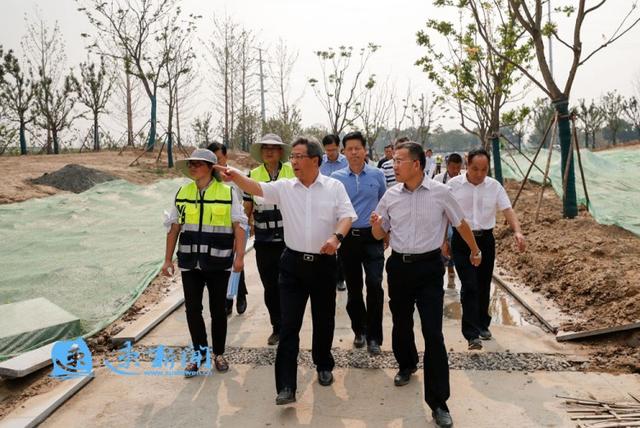 王昊调研中心城市重点工程建设全力做好骆马湖沙滩公园沙雕展