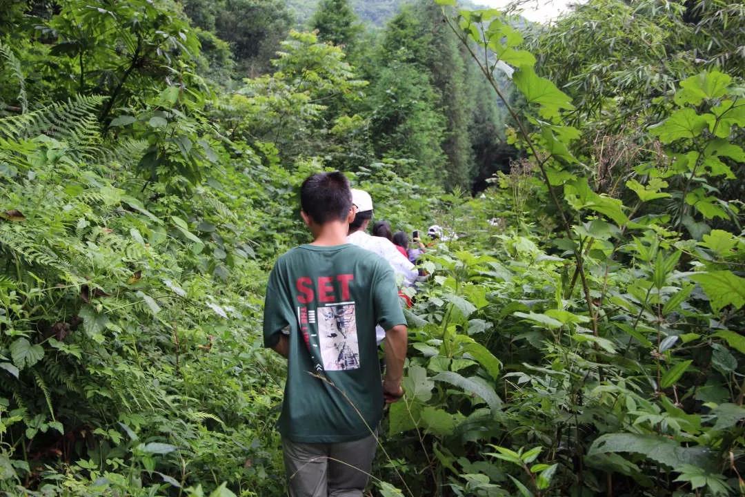 射林村人口_梓林村(2)