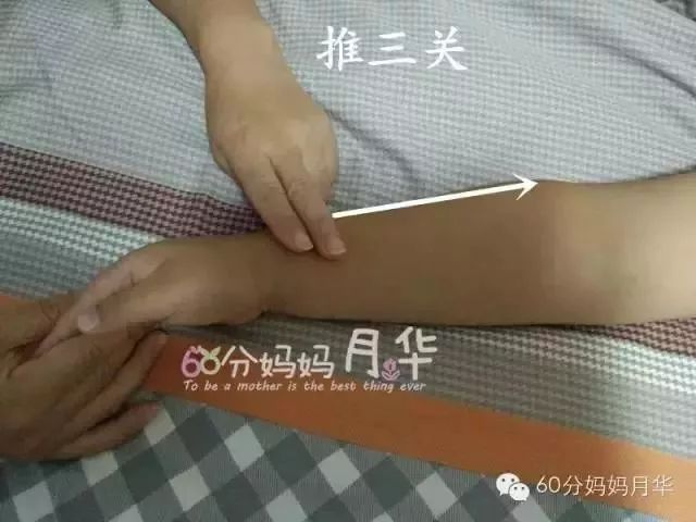                     出伏了，虽然暑热难耐，但也是时候开始养阴润燥了！