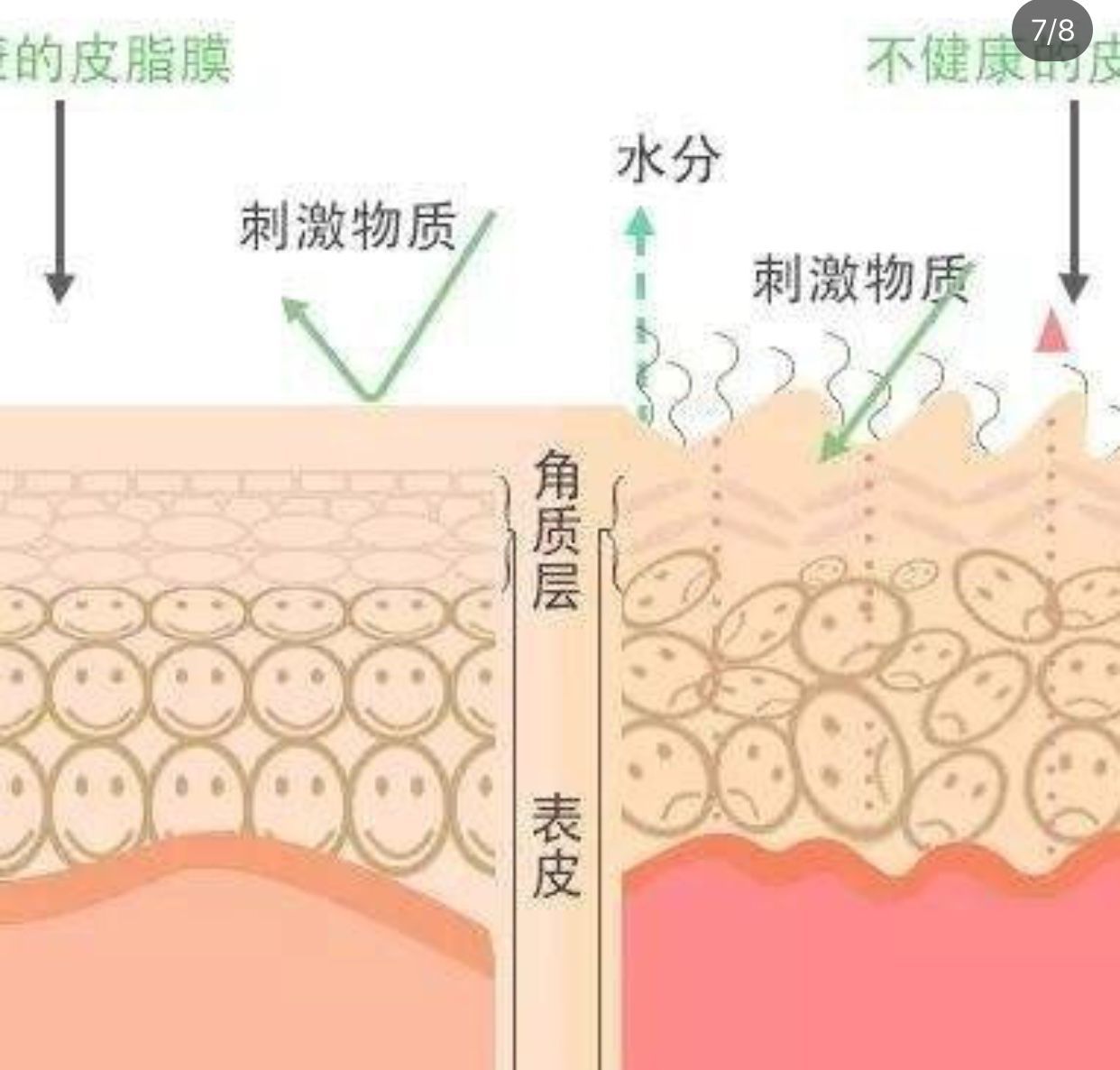 五,保持皮肤水油平衡