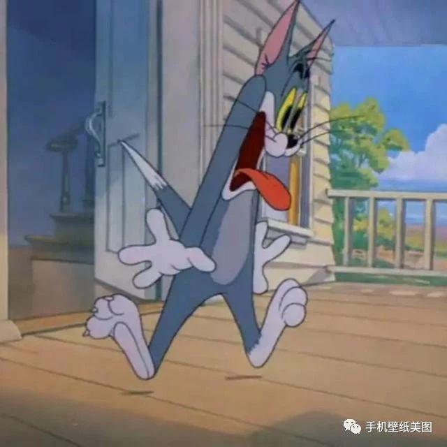 抖音超火头像情侣,猫和老鼠头像大全