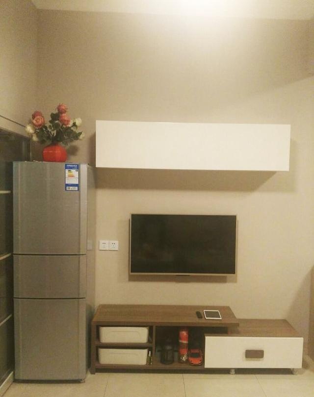 这是客厅的电视墙,几个组合柜子,冰箱都没地方放置,只能挤在这里.