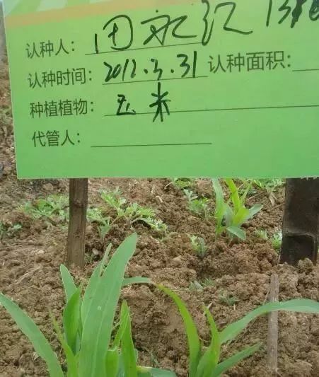 优质有机肥销售 6a10c99ef6b740d2b4c0a7be6e2c7b50.jpeg