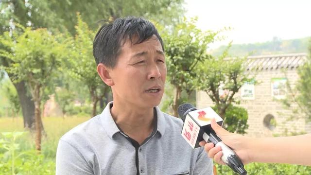 人民满意的公务员张端树以村为家带领村民走上致富路