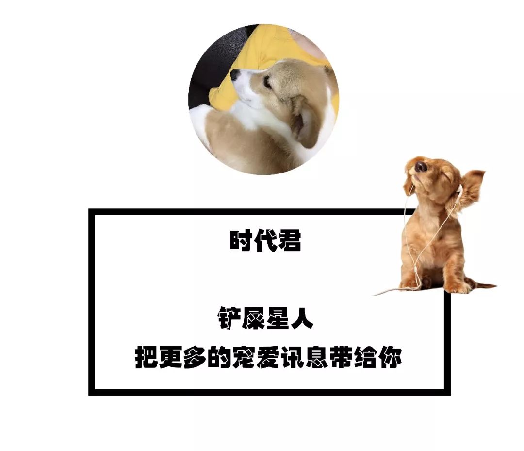 7a7461a142514351bb0835e5c443cf48.jpeg