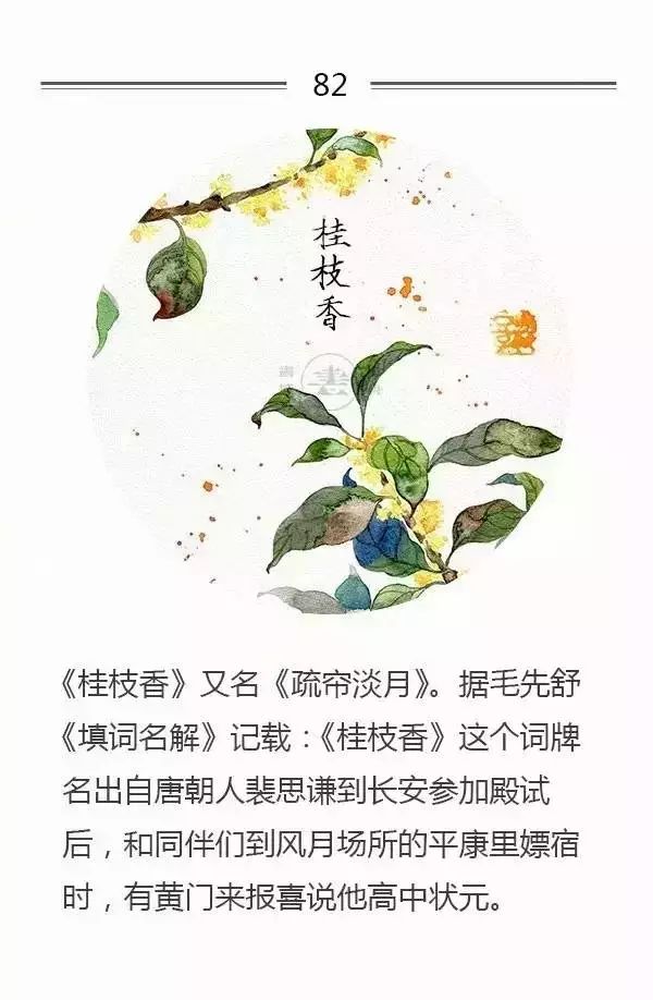 脍炙人口的词牌名_人口普查(2)