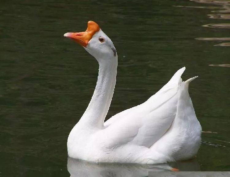 81a05ea98753427a81887d0d014b0ee3.jpeg