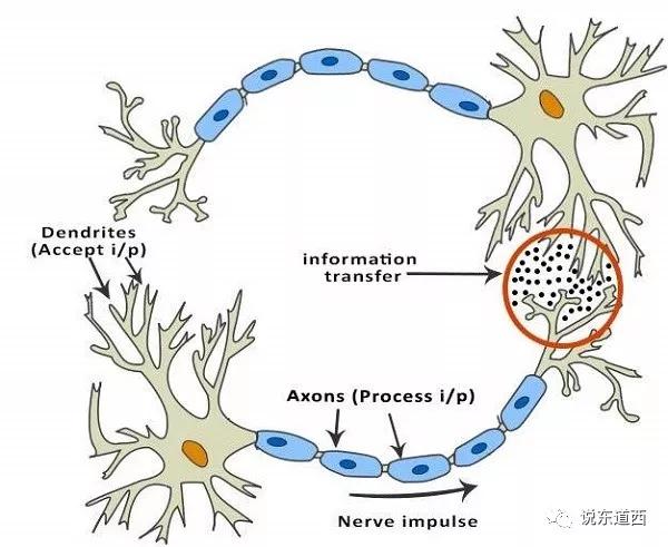 宋华振：智慧的疆界-人还是机器厉害？