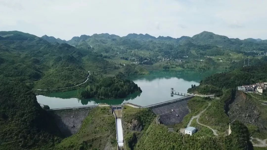 新场乡的凉都跑山猪养殖基地全部建成后将成为全国最大的黑猪养殖