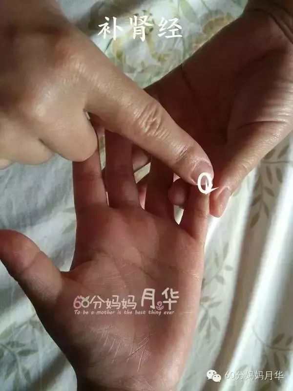                     出伏了，虽然暑热难耐，但也是时候开始养阴润燥了！