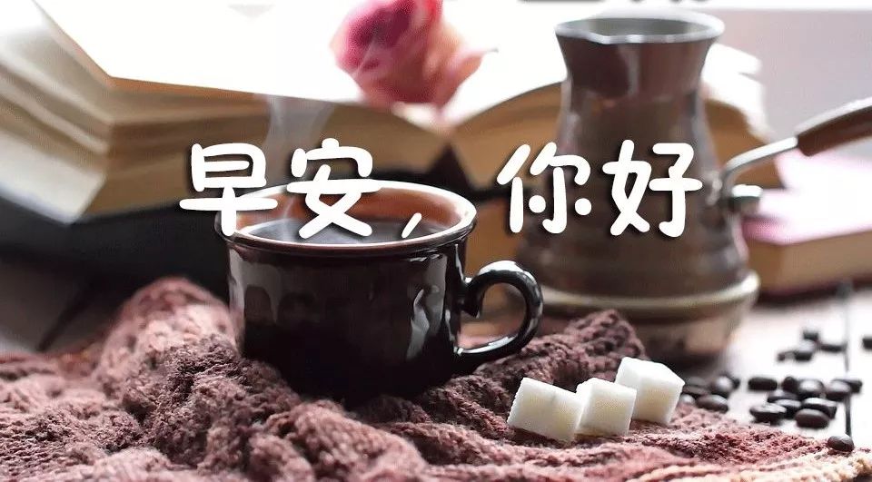 早上好图片带字和鲜花 猪年早晨好简单祝福语