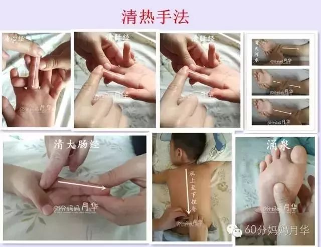                     出伏了，虽然暑热难耐，但也是时候开始养阴润燥了！