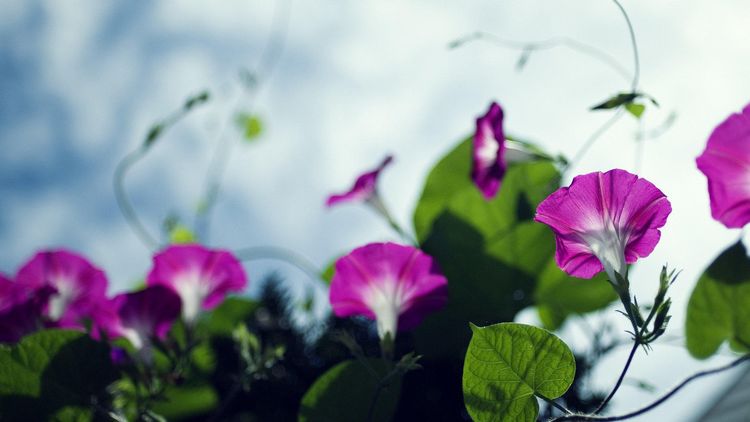 9月起財運高漲，運勢大旺，事業蒸蒸日上，好運常相伴的3大生肖 星座 第3張