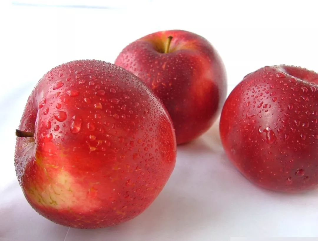 苹果能和柿子一起吃吗 9f16f3d52c044e0b8dad2e06ab6dea43.jpeg