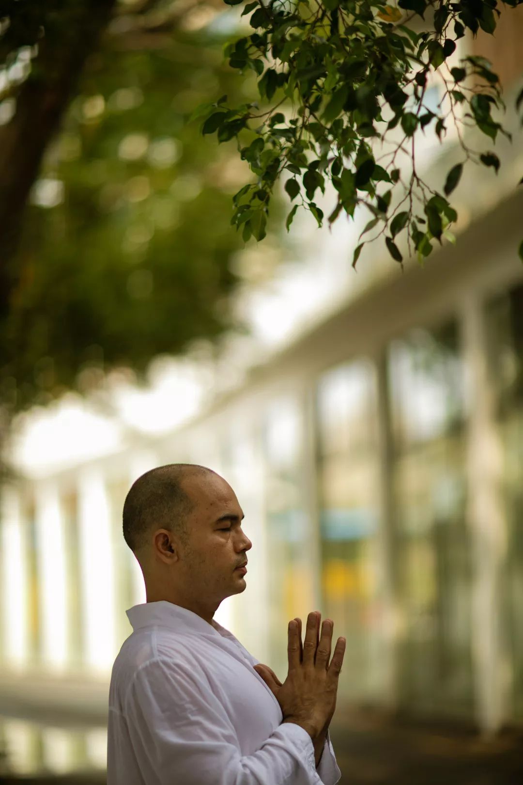 阿斯汤嘎 | 运动中的冥想